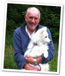 Skogsmullen Bengt